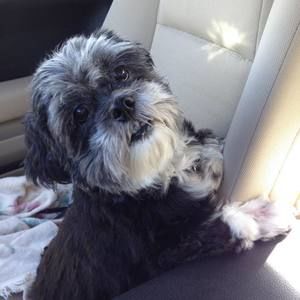 Meet your Posher, Jan